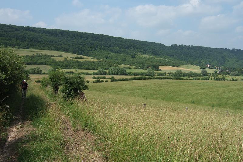 3-4-15 La Rehheck.JPG - Aufstieg zum "La Rehheck" (250 m)